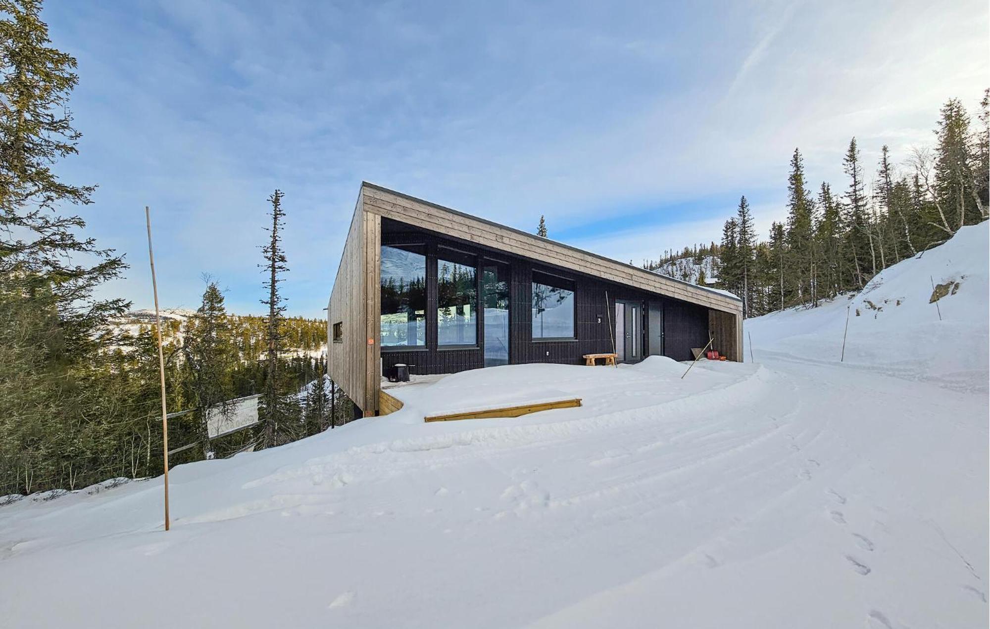 Awesome Home In Rjukan With Sauna Exterior foto